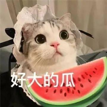 网红吃瓜免费分享,免费分享，畅享娱乐狂欢