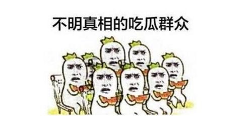 吃瓜群众有修养免费观看,揭秘“吃瓜群众有修养”的独特魅力